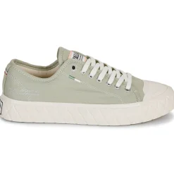 Palladium - PALLA ACE CVS