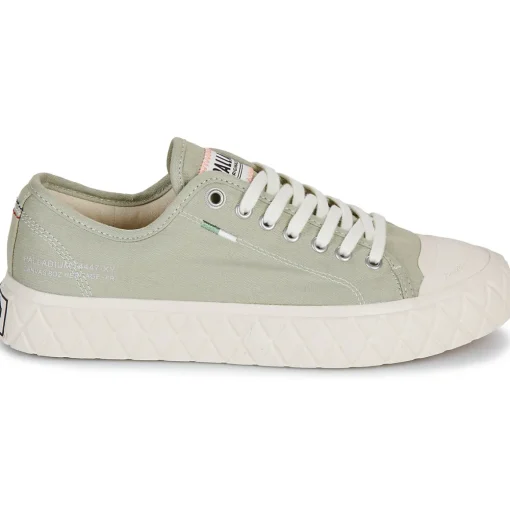 Palladium - PALLA ACE CVS