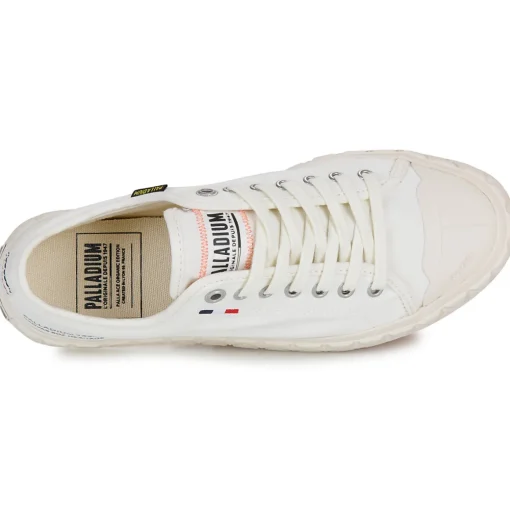 Palladium - PALLA ACE CVS
