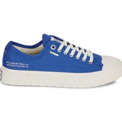 Palladium - PALLA ACE CVS ORG