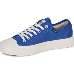 Palladium - PALLA ACE CVS ORG