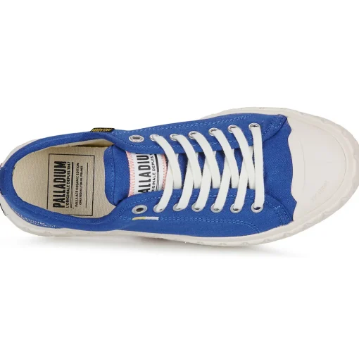 Palladium - PALLA ACE CVS ORG