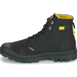 Palladium - PAMPA SURPLUS
