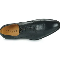 Pellet - ALEX