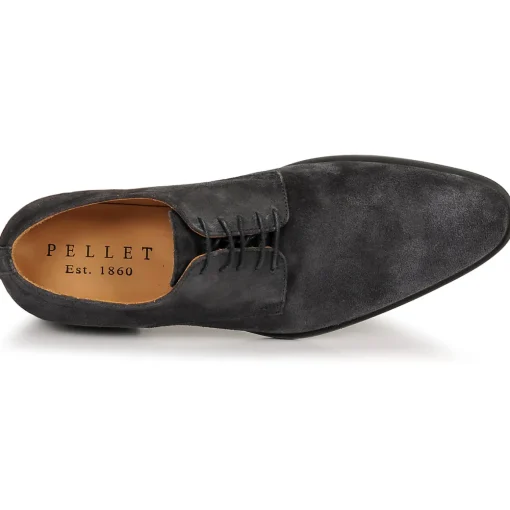 Pellet - ALIBI