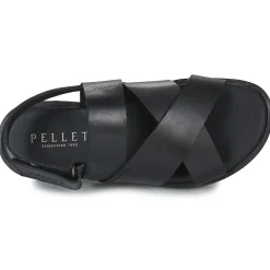 Pellet - ANGEL