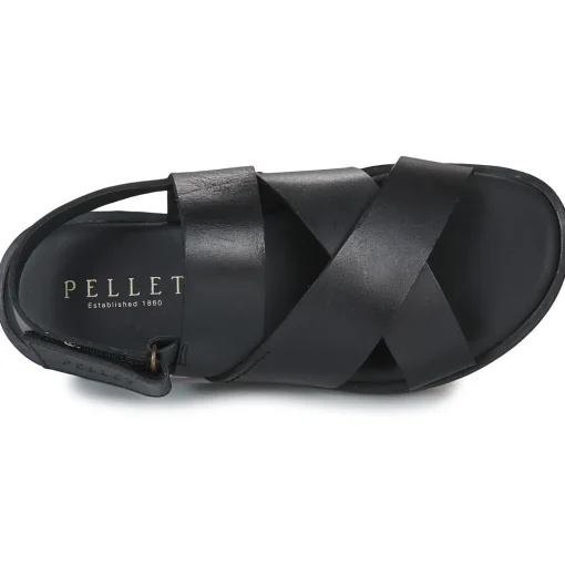 Pellet - ANGEL