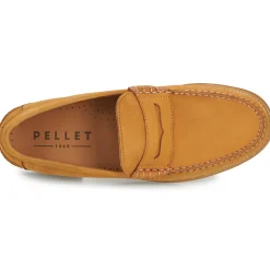 Pellet - BASILE