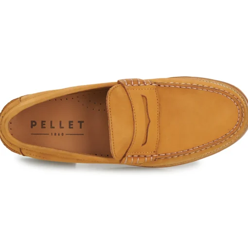 Pellet - BASILE