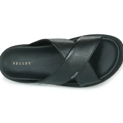 Pellet - FELIPE