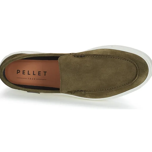 Pellet - LUCIUS
