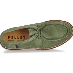 Pellet - MACHA
