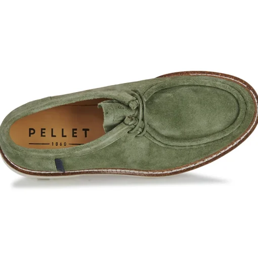 Pellet - MACHA