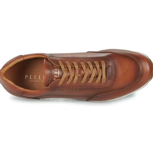 Pellet - MARC
