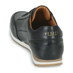 Pellet - MARC
