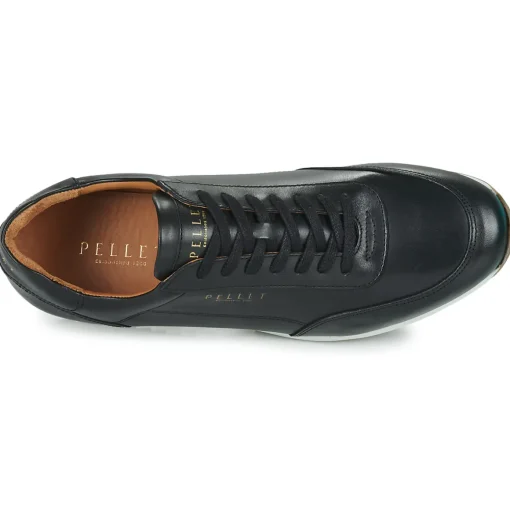 Pellet - MARC