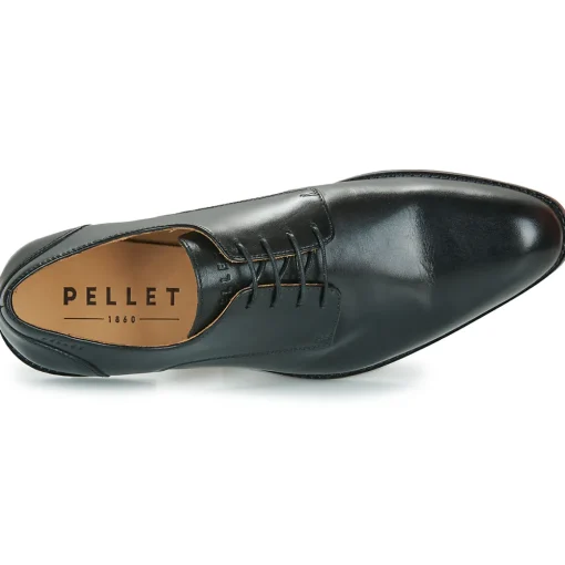 Pellet - SACHA
