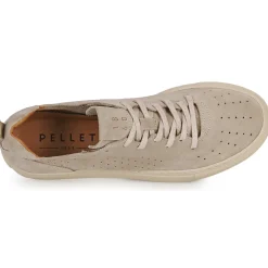 Pellet - SANDRON