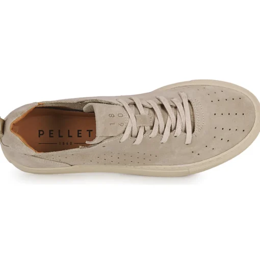 Pellet - SANDRON