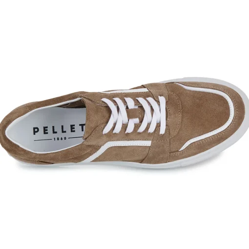 Pellet - SANDRY