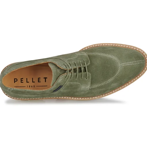 Pellet - VANESSA