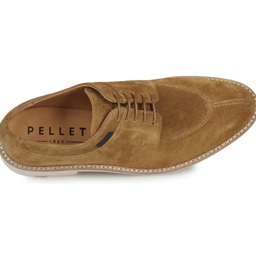 Pellet - VANESSA