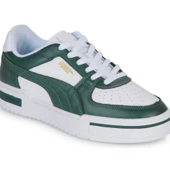 Puma - CA PRO