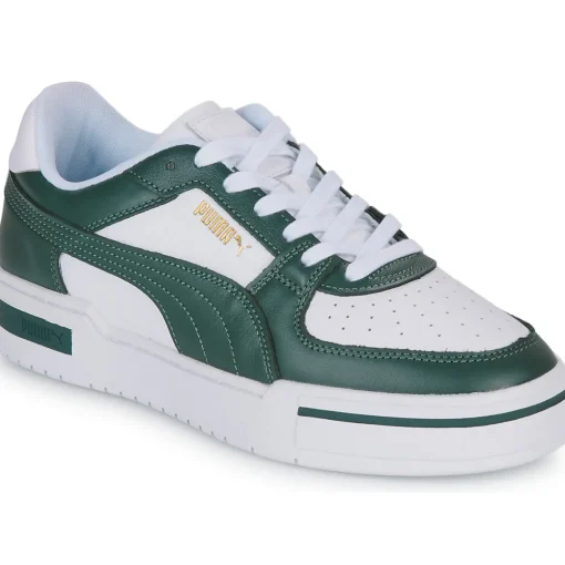 Puma - CA PRO