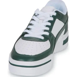 Puma - CA PRO