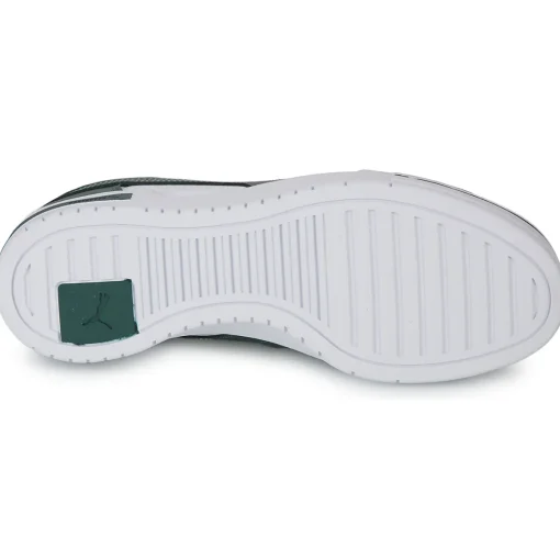 Puma - CA PRO
