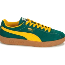 Puma - Delphin