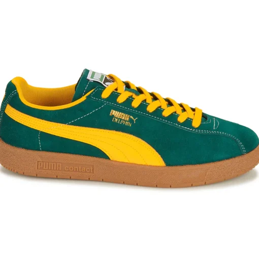 Puma - Delphin