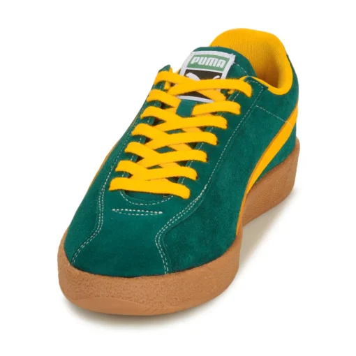 Puma - Delphin