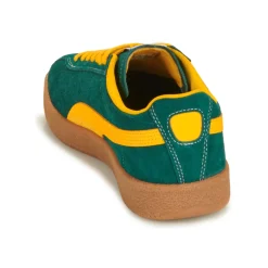 Puma - Delphin