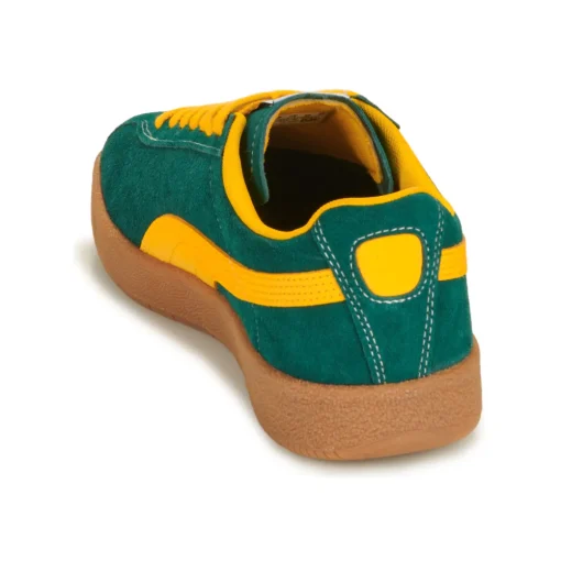 Puma - Delphin