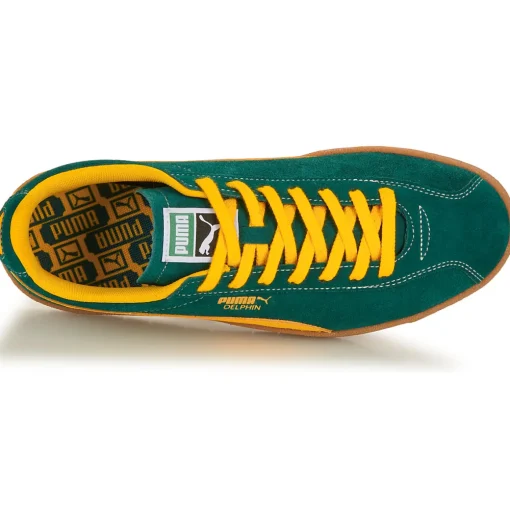 Puma - Delphin