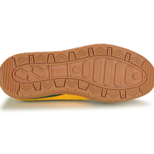 Puma - Delphin