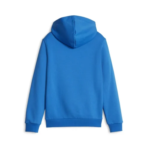 Puma - ESS  2 COL BIG LOGO HOODIE FL B