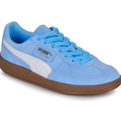 Puma - Palermo