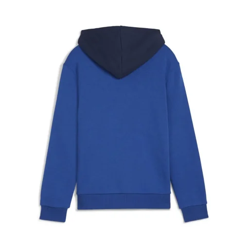 Puma - PUMA POWER GRAPHIC HOODIE TR B