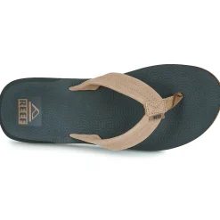 Reef - THE GROUNDSWELL