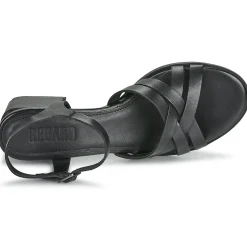 Regard - ET.EPI CRUST BLACK 2203