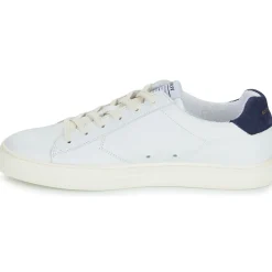 Schmoove - SPARK SIGNATURE M