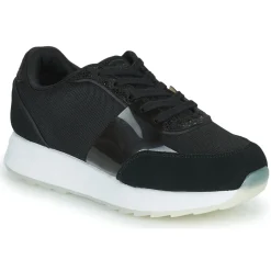 Scholl - BEYONCE'