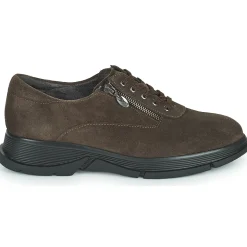 Scholl - BRISTOL ZIP
