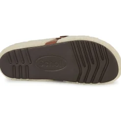 Scholl - CHARLOTTE