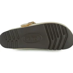 Scholl - FAE