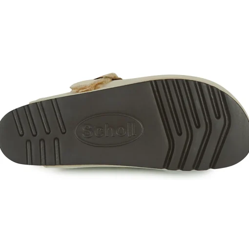 Scholl - FAE
