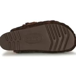 Scholl - FAE