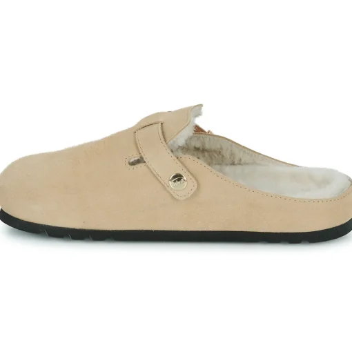 Scholl - GRACE